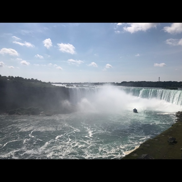 Meet your Posher, Sam - Picture 1 of 1